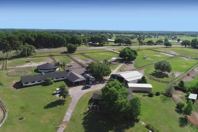 Sarasota Horse Properties For Sale Sarasota Equestrian Homes For Sale