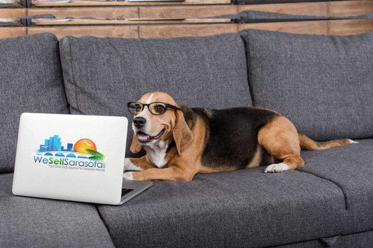 Sarasota Pet-Friendly Condos For Sale