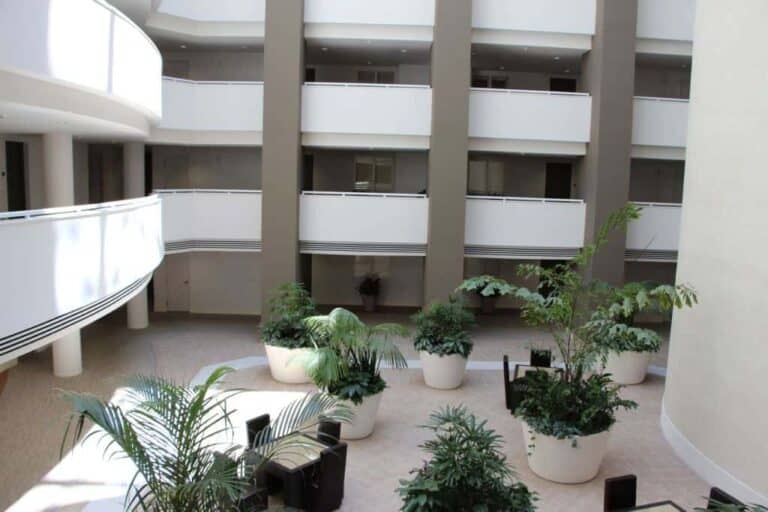 Rivo at Ringling Condos - Courtyard