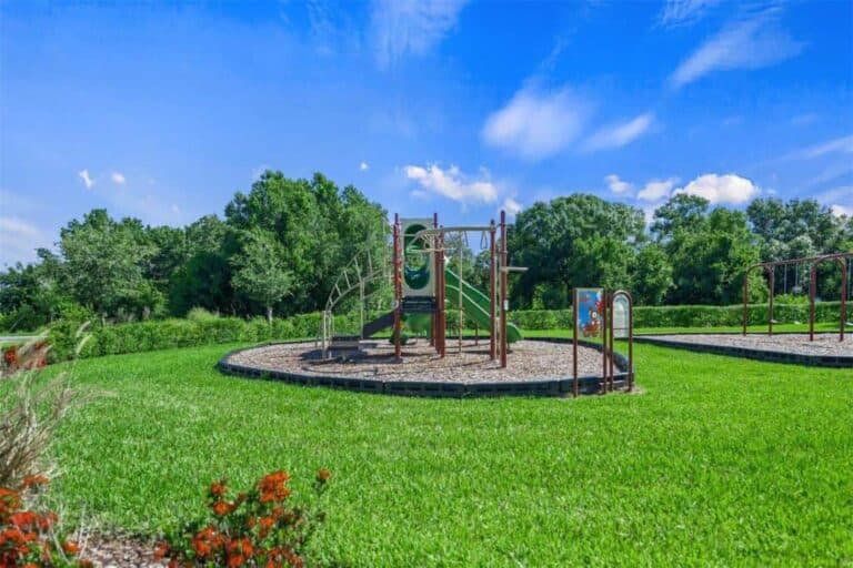 Woodleaf Hammock Homes in Lakewood Ranch, FL. - Playground