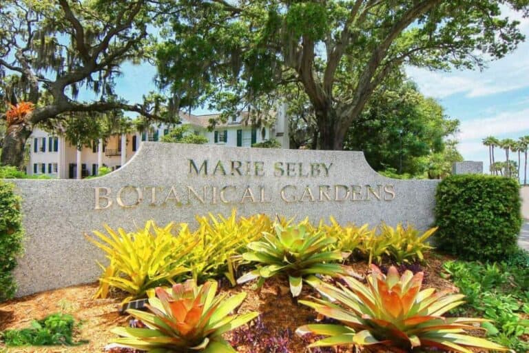 Downtown Sarasota FL. - Maria Selby Botanical Gardens