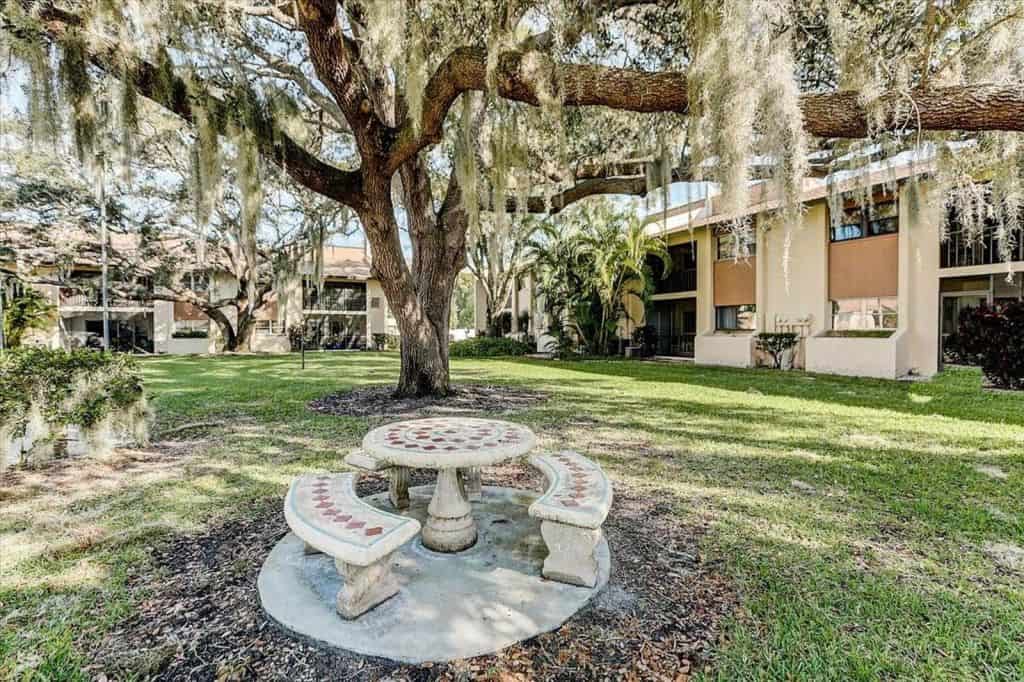 Forest Lakes Condos in Sarasota, FL. - Shuffleboard