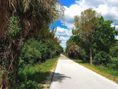 Palmer Ranch homes in Sarasota, FL. - Legacy Trail