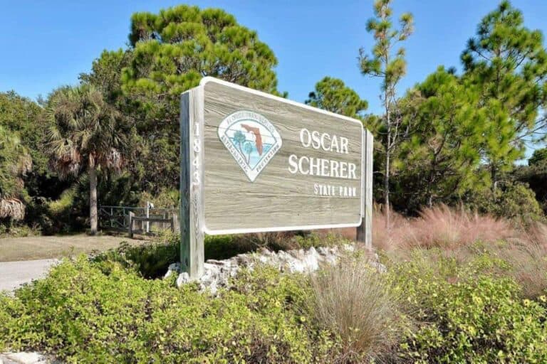 Palmer Ranch homes in Sarasota, FL. - Oscar Scherer Park