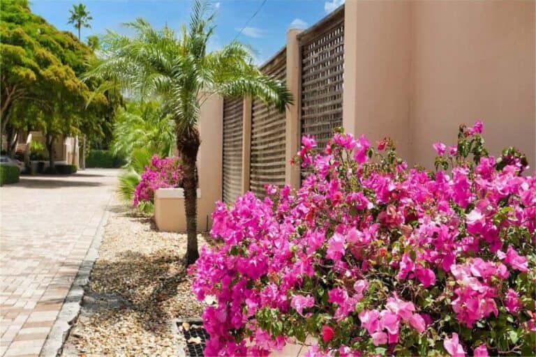 Coquille Condos in Siesta Key, FL. - Grounds