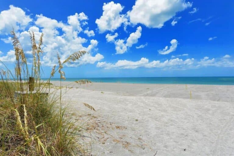 Island Reef Condos in Siesta Key, FL. - Beach