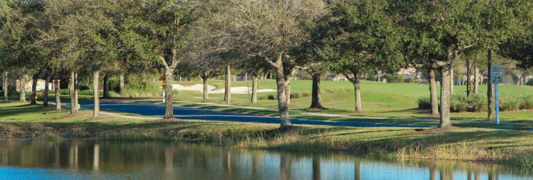Lakewood Ranch Real Estate For Sale