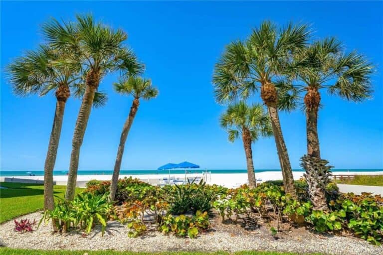 Lido Harbour South Conos in Sarasota, FL. - Beachfront