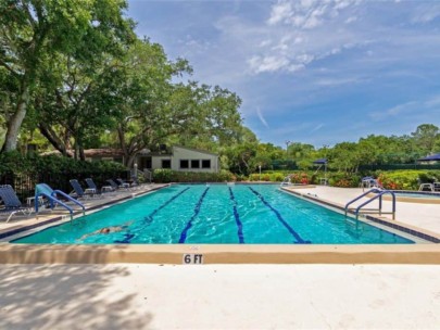 Pelican Cove Condos in Sarasota, FL. - Pool