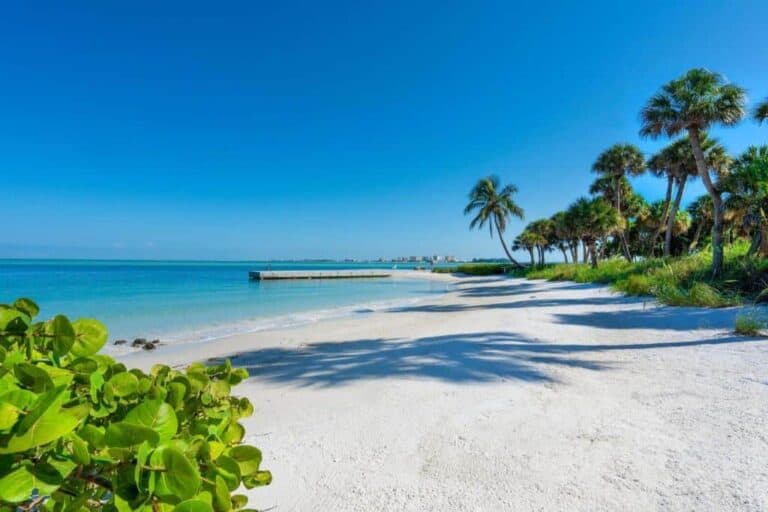 Sandy Cove Condos in Siesta Key, FL. - Waterfront