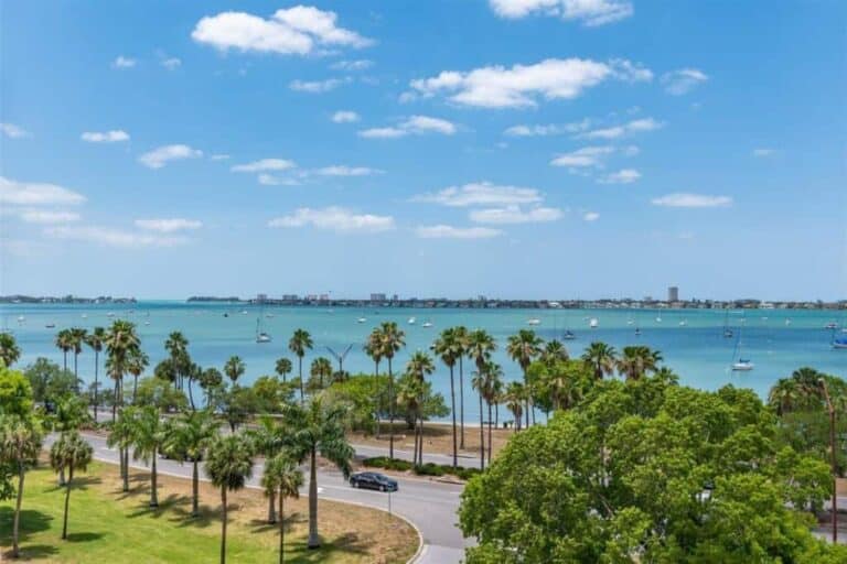 624 Palm Condos in Downtown Sarasota, FL. - Water View