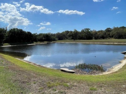 Arbor Creek Homes in Palmetto, FL. - Pond