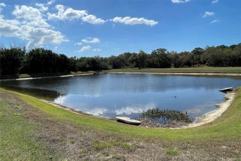 Arbor Creek Homes in Palmetto, FL. - Pond
