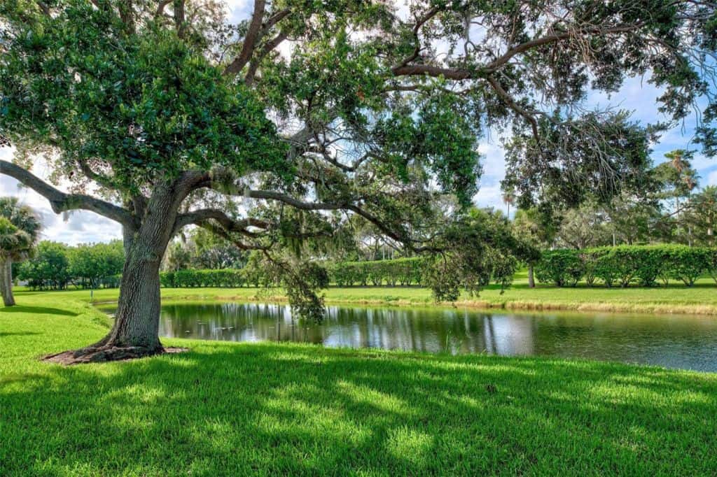 Ballantrae Condos in Palmer Ranch Sarasota, FL. - Grounds