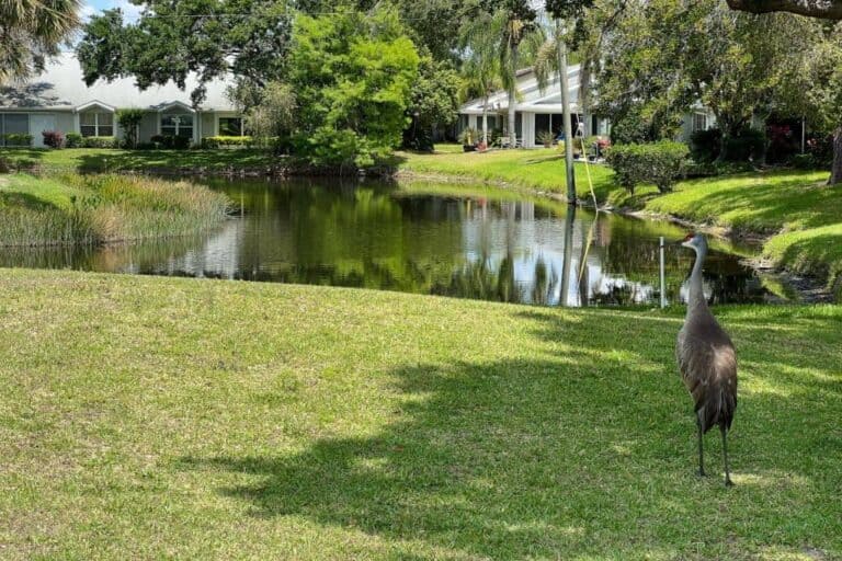 Club Villas Condos in Palm Aire Sarasota, FL. - Grounds