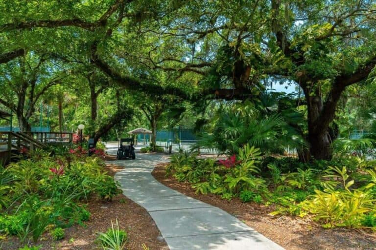 Meadows Condos in Sarasota, FL. - Grounds