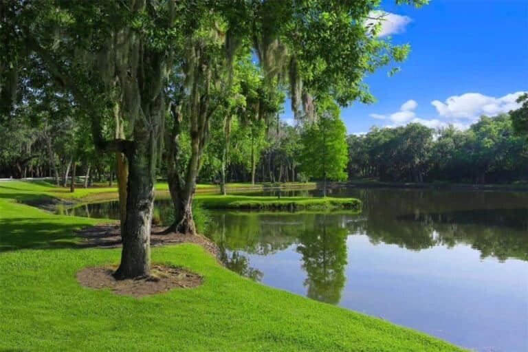Meadows Country Club in Sarasota, FL. - Grounds
