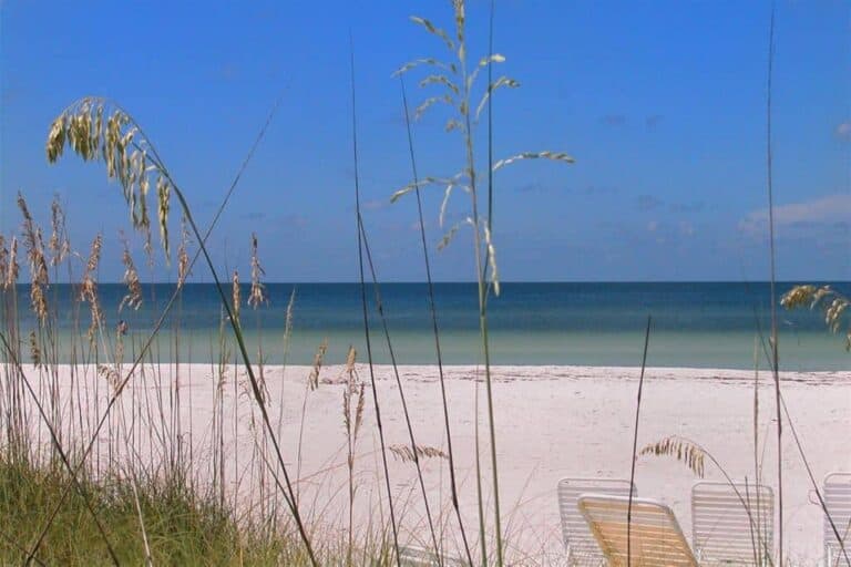 Midnight Cove Condos in Siesta Key, FL. - Beach