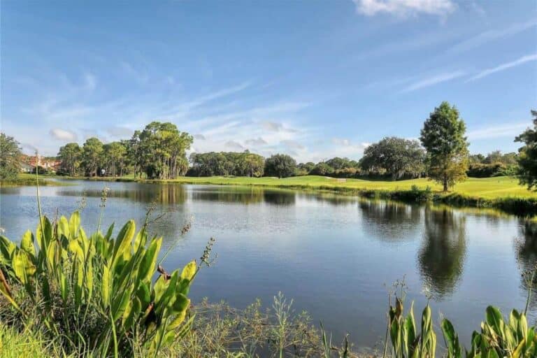 Prestancia in Palmer Ranch Sarasota, FL. - Lake Views