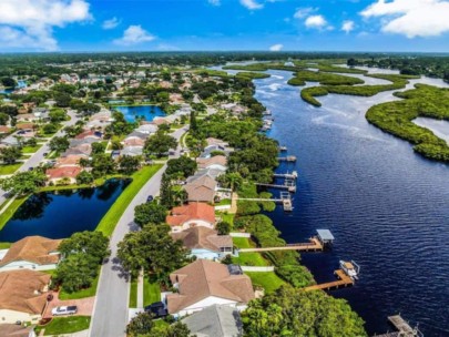 Braden River Lakes Homes in Bradenton, FL. - Aerial