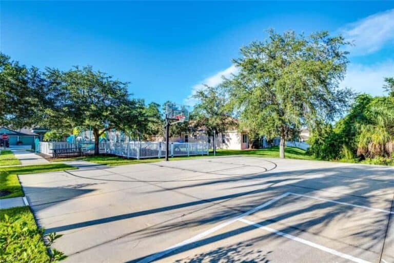 Chelsea Oaks Homes in Parrish, FL. - Basketball Court
