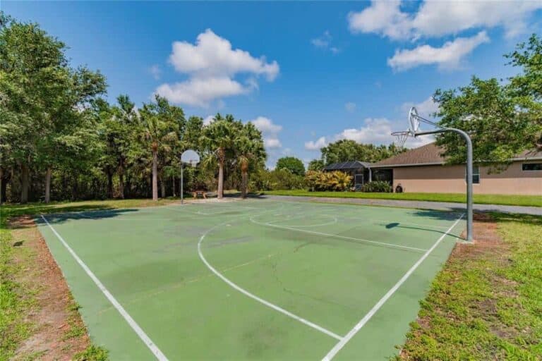 Creekside Preserve Homes in Parrish, FL. - Basketball Court