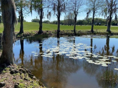 Greenfield Plantation Homes in Bradenton, FL. - Lake View