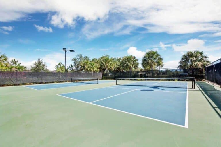 Hammock Preserve Homes in Palmer Ranch Sarasota, FL. - Pickleball
