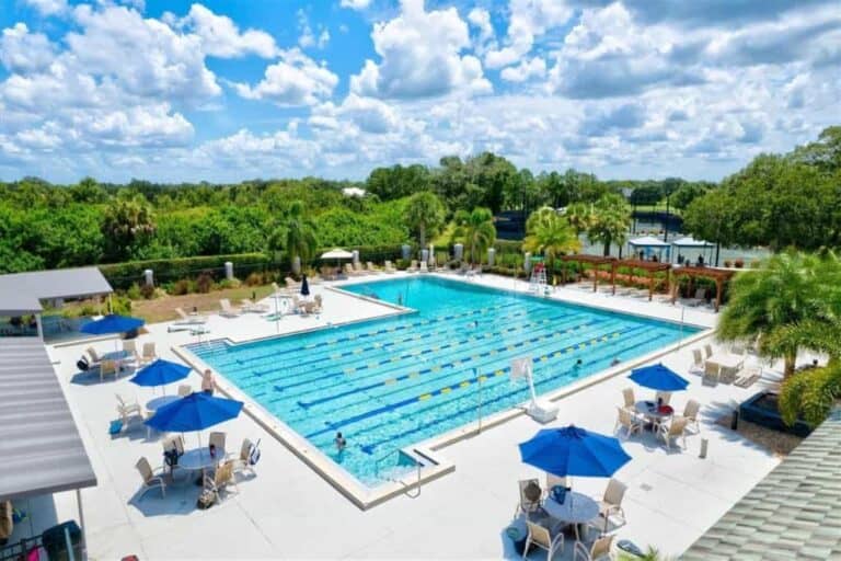 Laurel Oak Estates Homes in Sarasota, FL. - Pool
