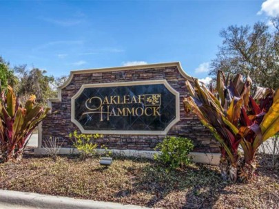 Oakleaf Hammock Homes in Ellenton, FL. - Entrance Sign