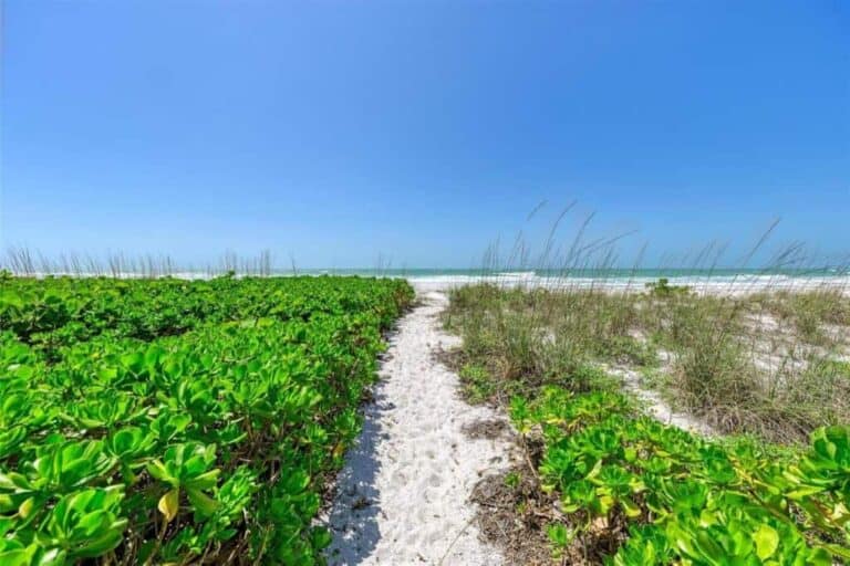 Reclinata Homes in Longboat Key, FL. - Beach Access