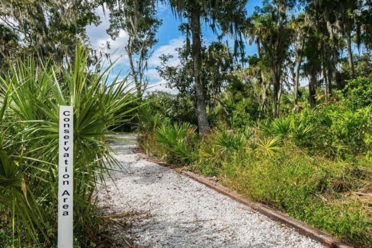 Riva Trace Homes in Bradenton, FL. - Conservation Area