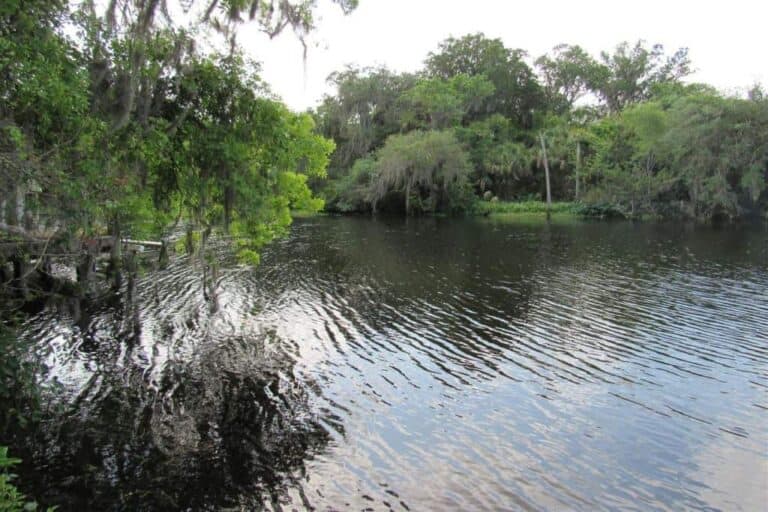 River Place Homes in Bradenton, FL. - Braden River