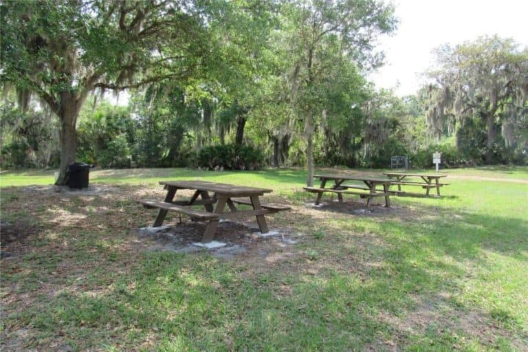 River Place Homes in Bradenton, FL. - Picnic Tables