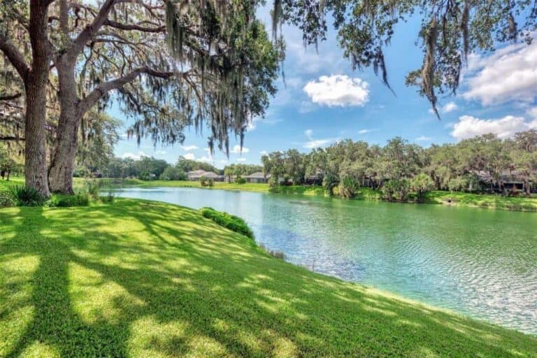 Sherwood Forest Homes in Sarasota, FL. - Canal