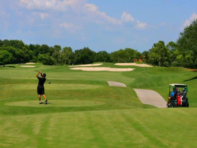 University Park Homes in Sarasota, FL. - Golfer
