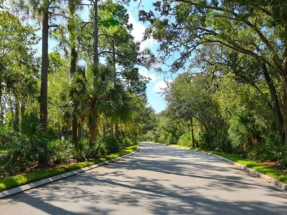 University Park Homes in Sarasota, FL. - Canopy Tree Streets