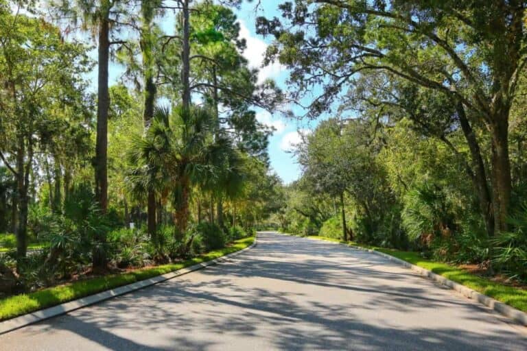 University Park Homes in Sarasota, FL. - Canopy Tree Streets