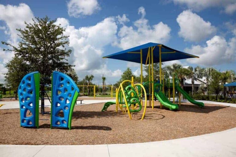 Brightwood at North River Ranch Homes in Parrish, FL - Playground