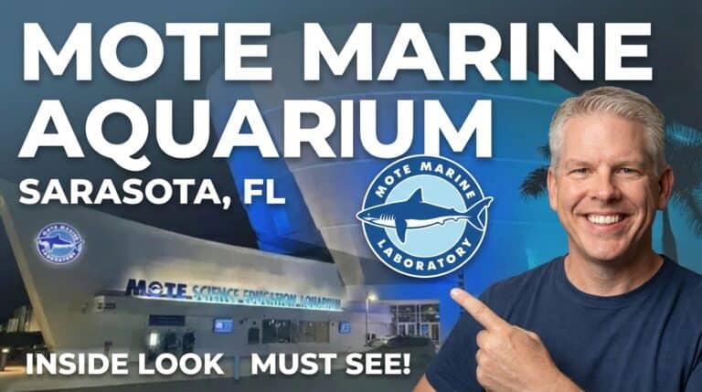 Mote Marine Aquarium in Sarasota FL.